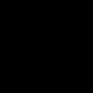 Meet your Posher, Camron